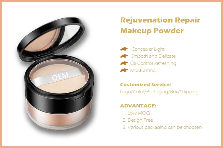 OEM ODM Private Label Long Lasting Oil Control Concealer Primer Face Makeup Setting Loose Powder with Puff